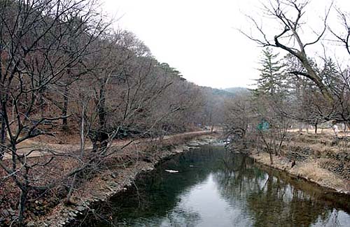 극락교 위쪽으로는 산 빛 가득 머금은 계곡이 깊숙하게 산 속으로 이어지고 있다. 